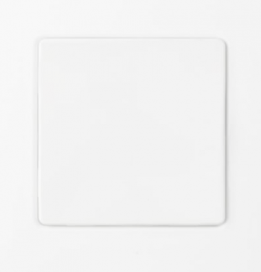 Фотография товара 'Bylectrica Выключатель 1-клавишная, скрытая установка 10А IP44, серия МАСТЕР, С110-2004'