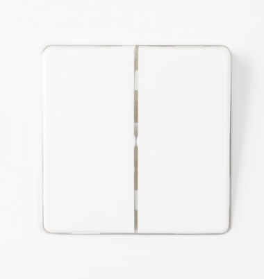 Фотография товара 'Bylectrica Выключатель 2-клавишная, скрытая установка 10А, с подсветкой, серия МАСТЕР, С510-2008'