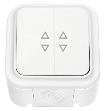 Фотография товара 'Bylectrica Выключатель 2-клавишный ОУ проходной IP54, серия ПРАЛЕСКА АКВА, А(6+6) 10-873'