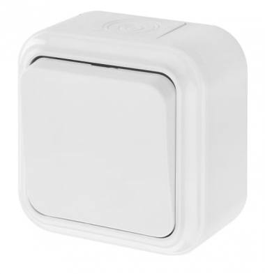 Фотография товара 'Bylectrica Выключатель 1-клавишный ОУ двухполюсный IP54, серия ПРАЛЕСКА АКВА, А210-845'