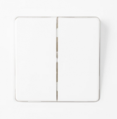 Фотография товара 'Bylectrica Выключатель 2-клавишная, скрытая установка 10А IP44, серия МАСТЕР, С510-2005'