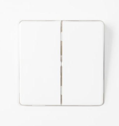 Фотография товара 'Bylectrica Выключатель 2-клавишная, скрытая установка 10А, с подсветкой, серия МАСТЕР, С510-2008'