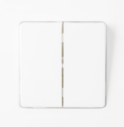 Фотография товара 'Bylectrica Выключатель 2-клавишный скрытая установка, 10А проходной, серия МАСТЕР, С(6+6) 10-2062'