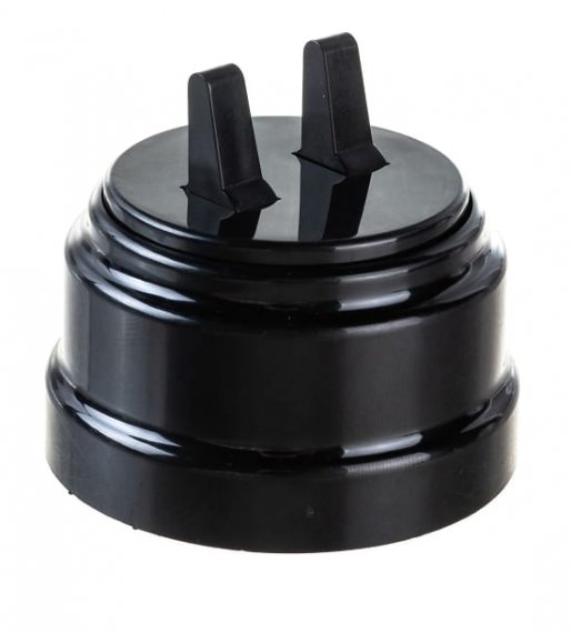 Фотография товара 'Bylectrica Выключатель 2-клавишный тумблерный (10А) ОУ, серия РЕТРО, А510-2204 черный'