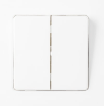 Фотография товара 'Bylectrica Выключатель 2-клавишная, скрытая установка 10А IP44, серия МАСТЕР, С510-2005'